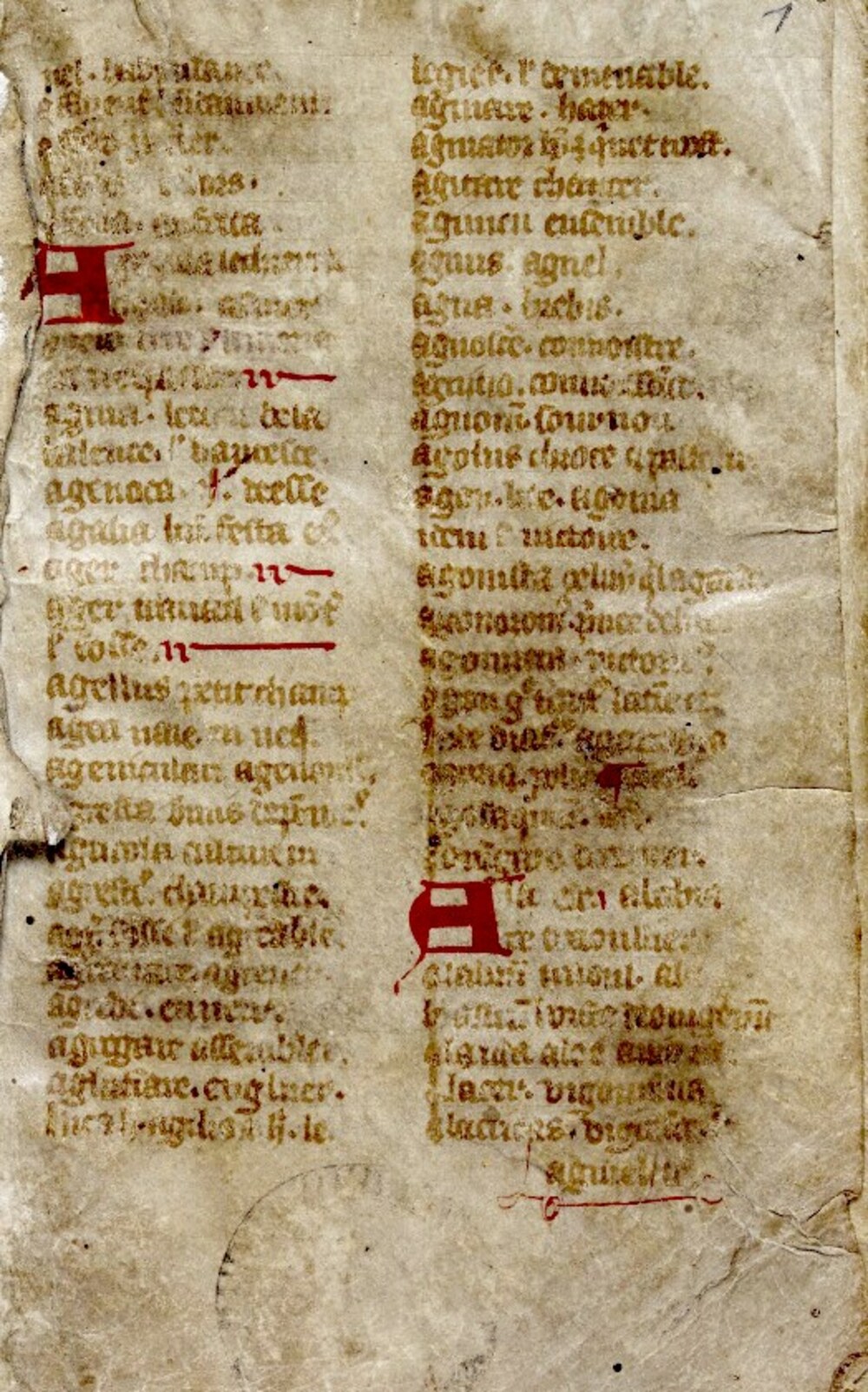 Cover für Liber glossarum