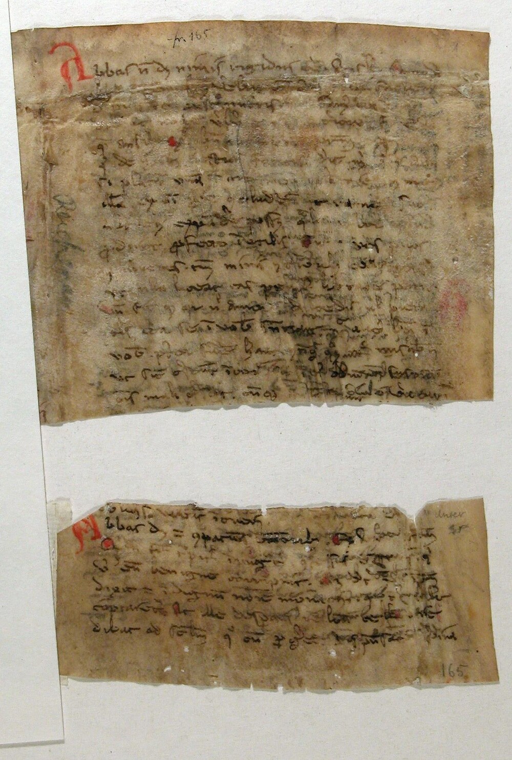 Cover für Alphabetum narrationum
