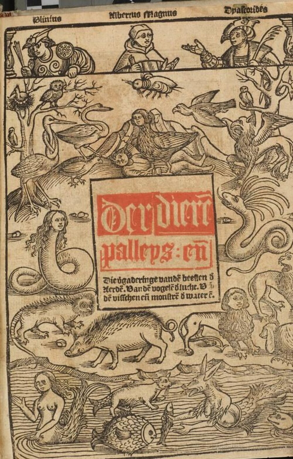 Cover für Der Dieren Palleys