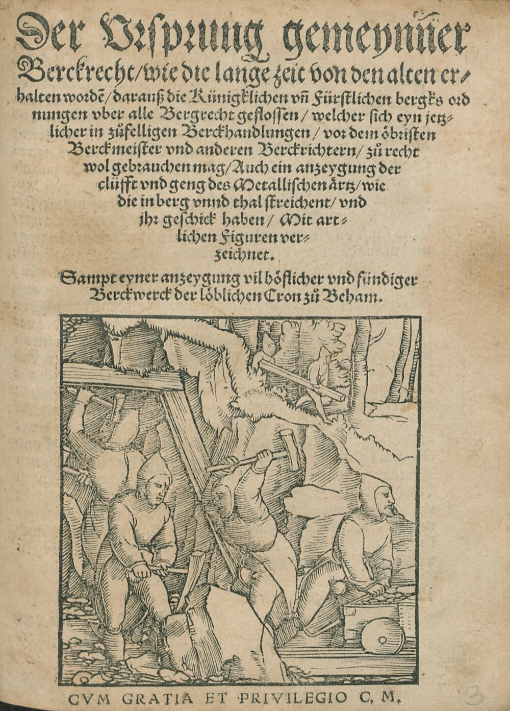 Cover für Das erst Capitel von gemeinen ursprung der Ertz
