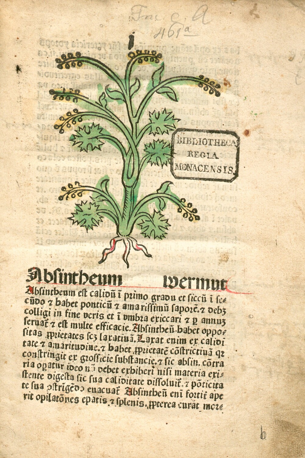 Cover für Absintheum wermut