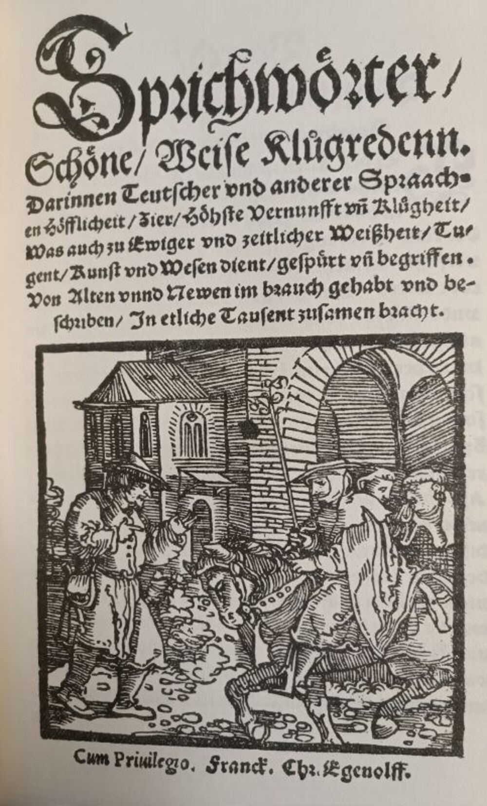 Cover für Sprichwörter, Schöne, Weise Klugreden