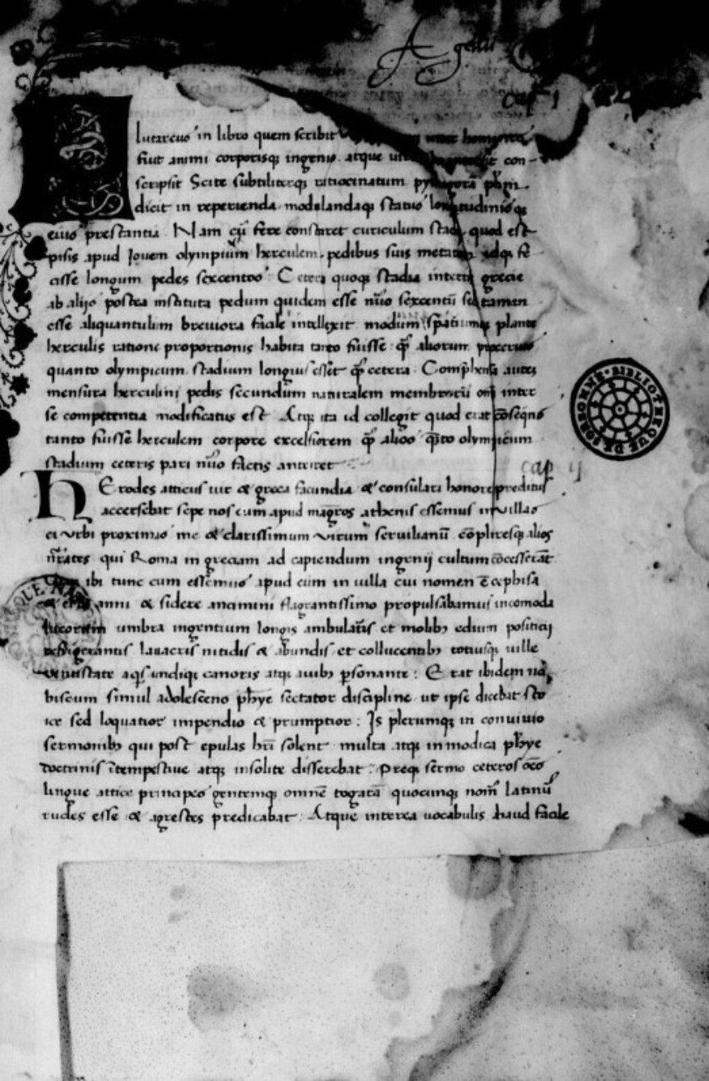Cover für Noctium atticarum