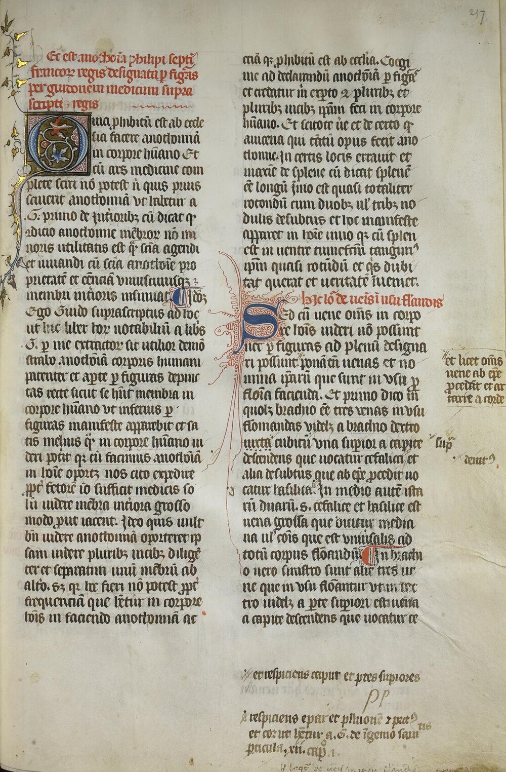 Cover für Anatomia
