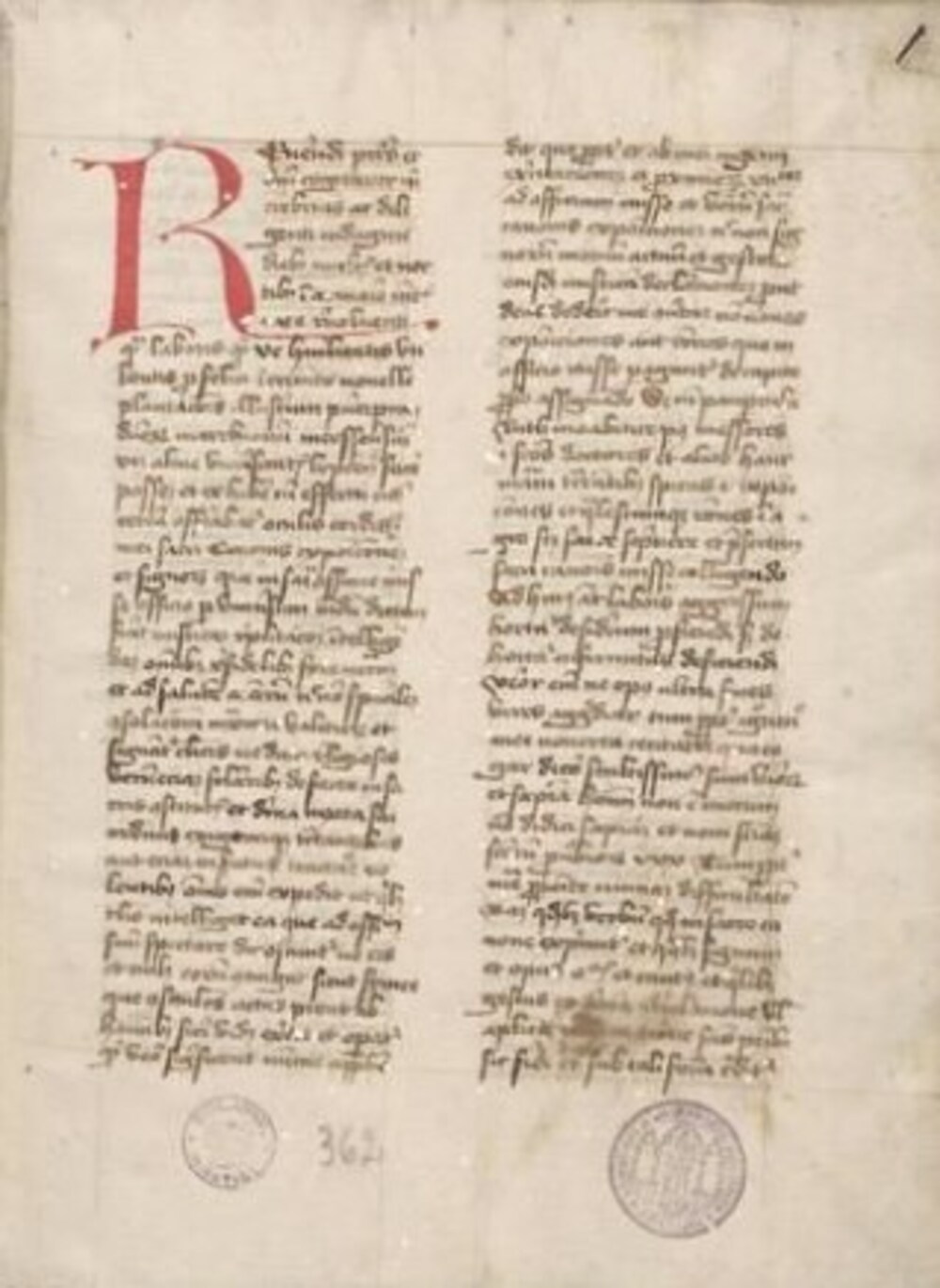 Cover für Mammotrectus
