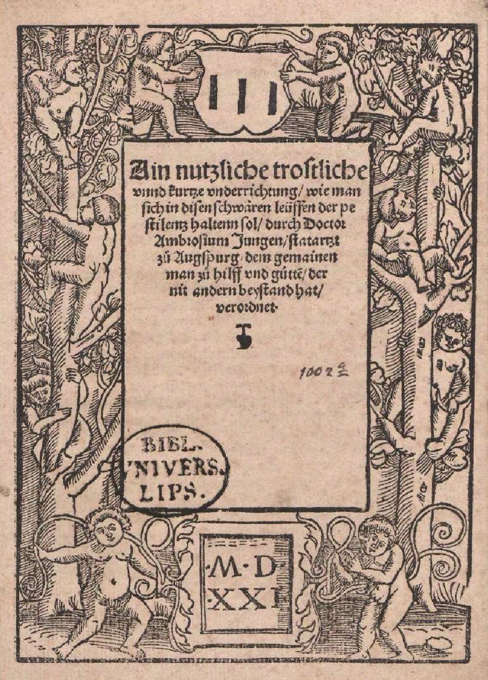 Cover für Ain nutzliche trostliche unnd kurtze underrichtung, wie man sich im disen schwaeren leüffen der pestilentz haltenn sol