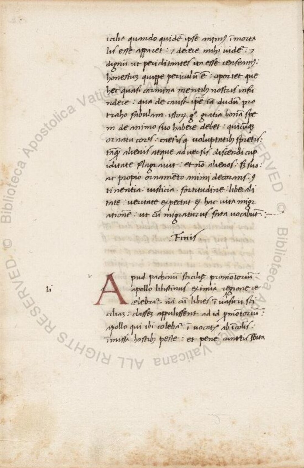 Cover für Saturnalia, excerta