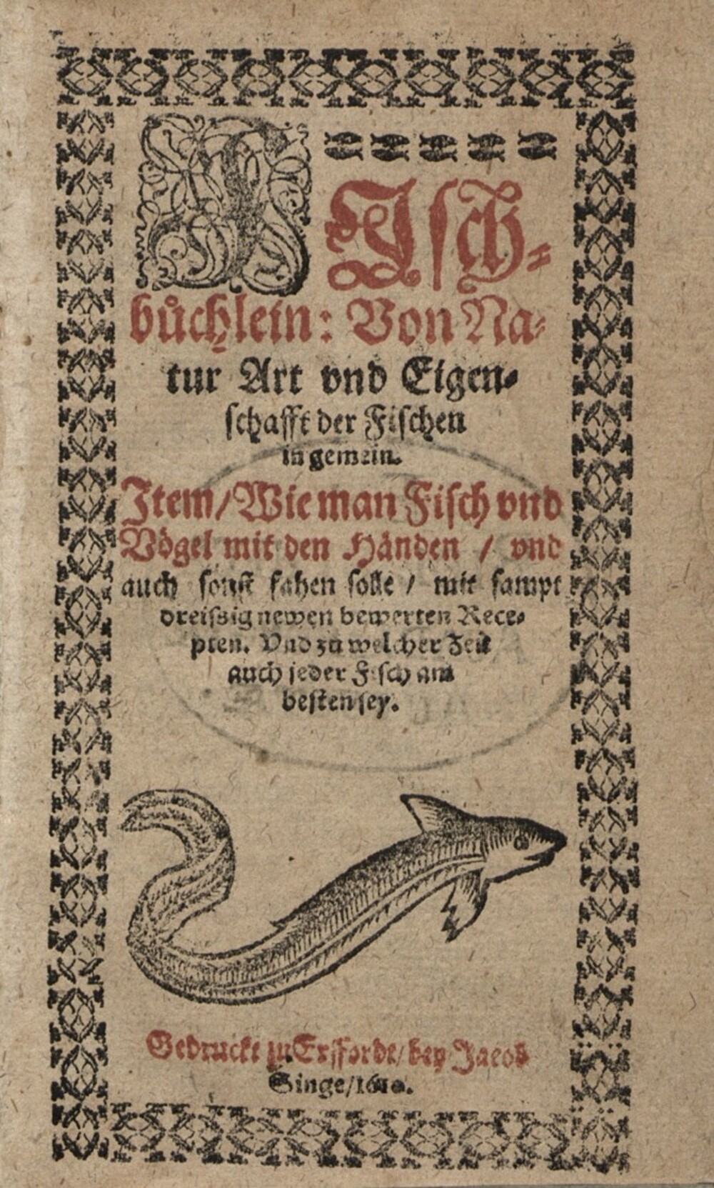 Cover für Fischbuochlein