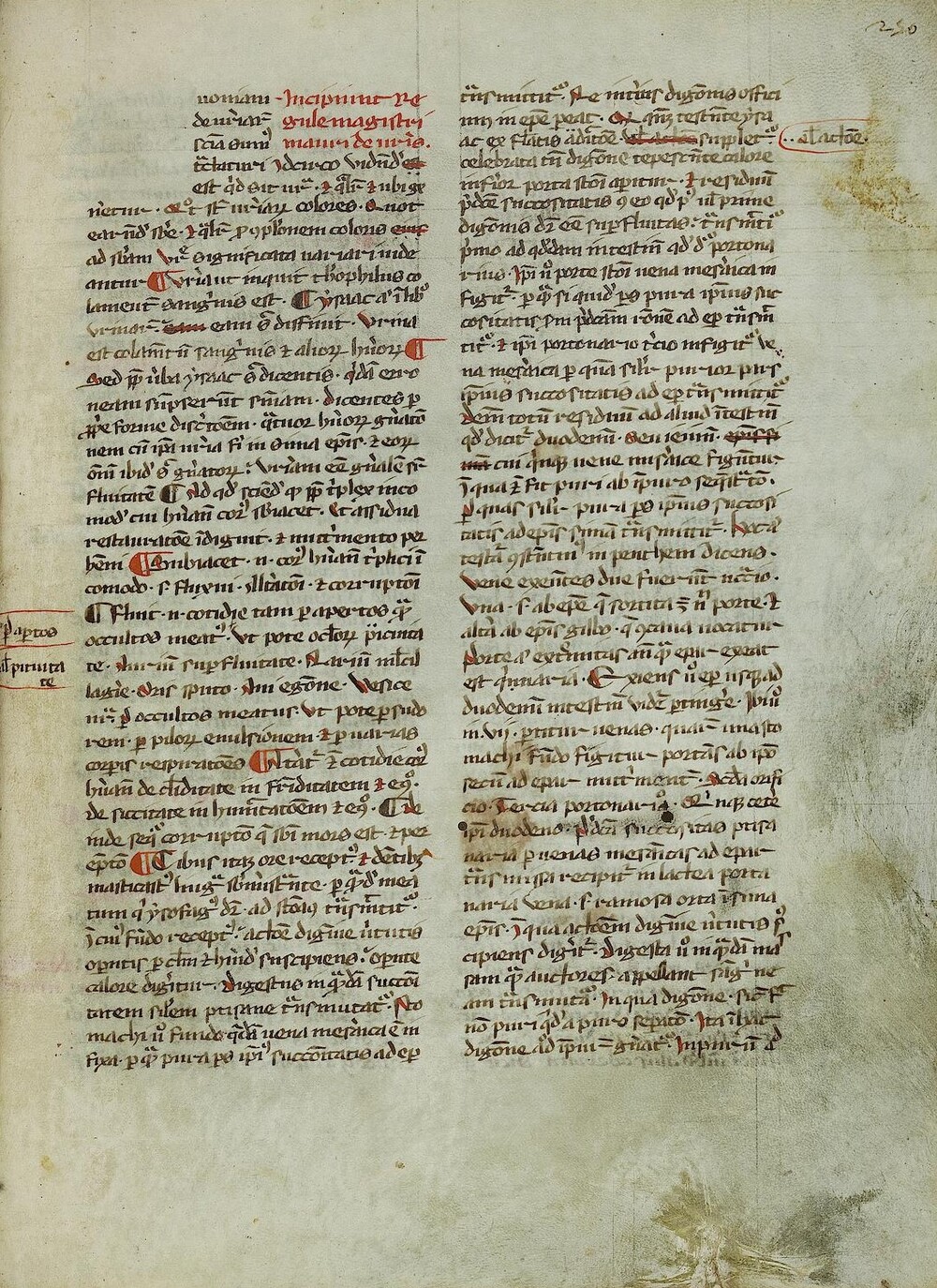 Cover für Regulae urinarum