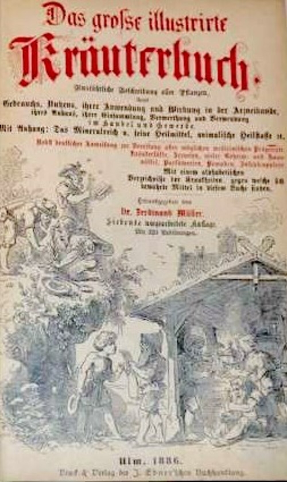 Cover für Das große illustrirte Kräuterbuch