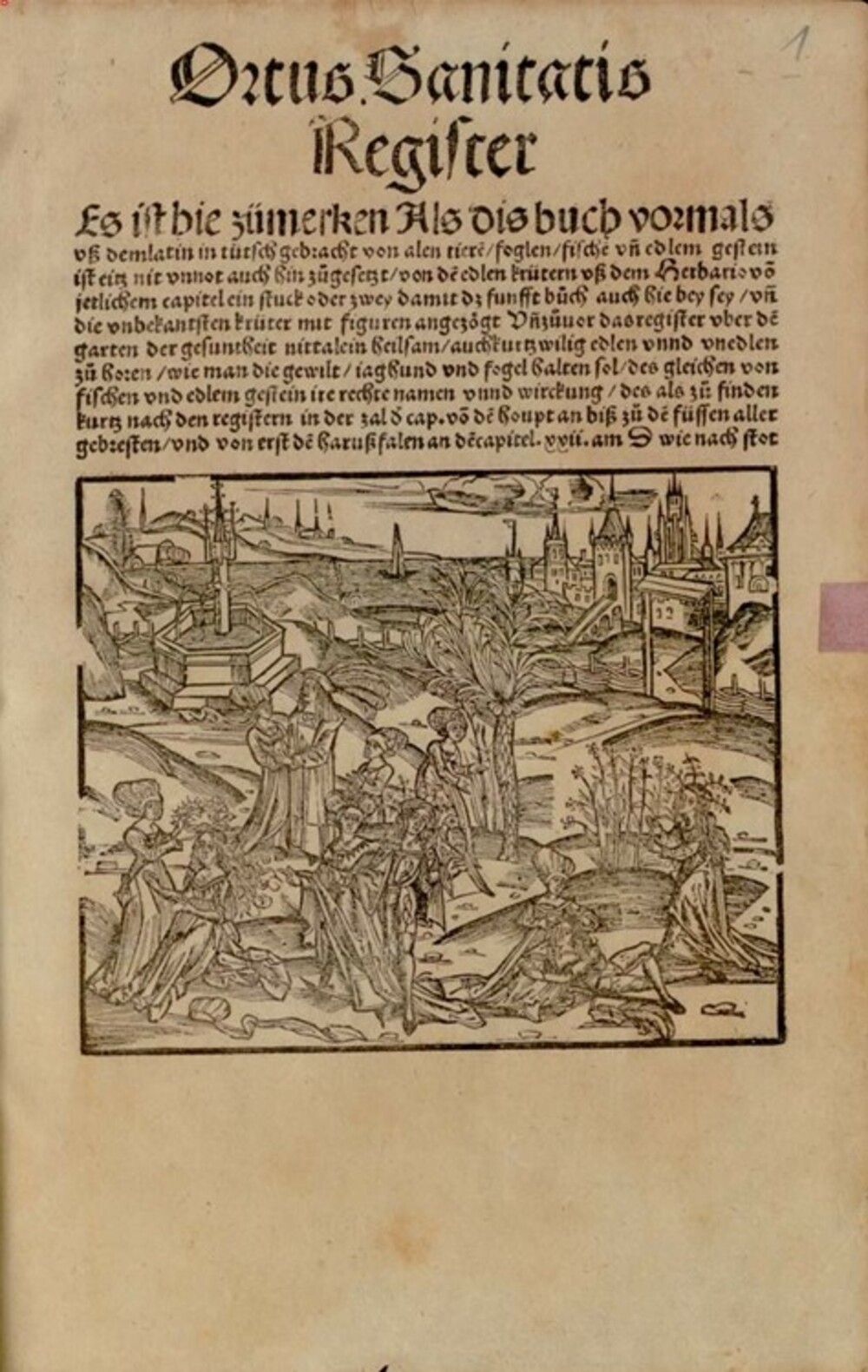 Cover für Ortus Sanitatis Register