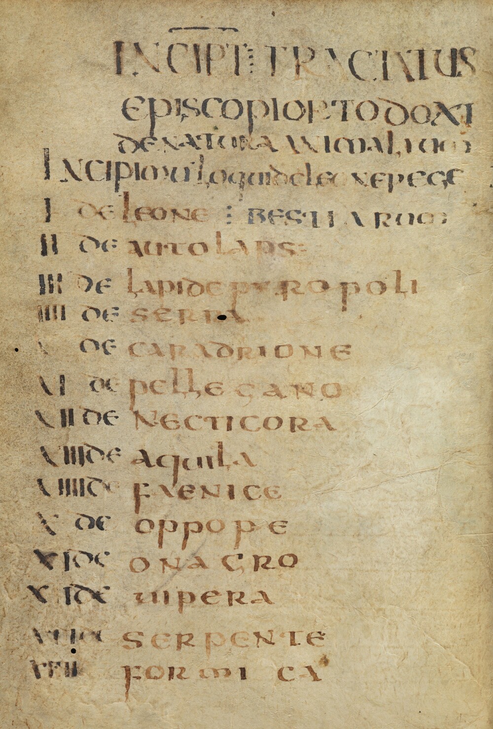 Cover für Physiologus latinus