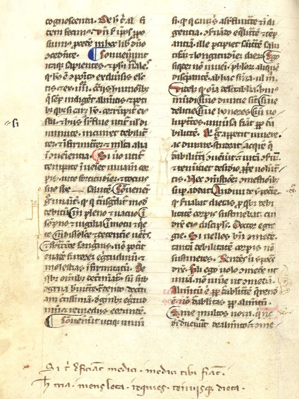 Cover für Regimen sanitatis Salernitanum