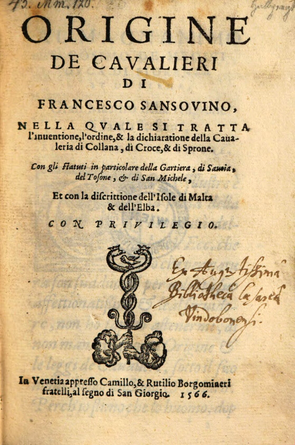 Cover für Origine de cavallieri