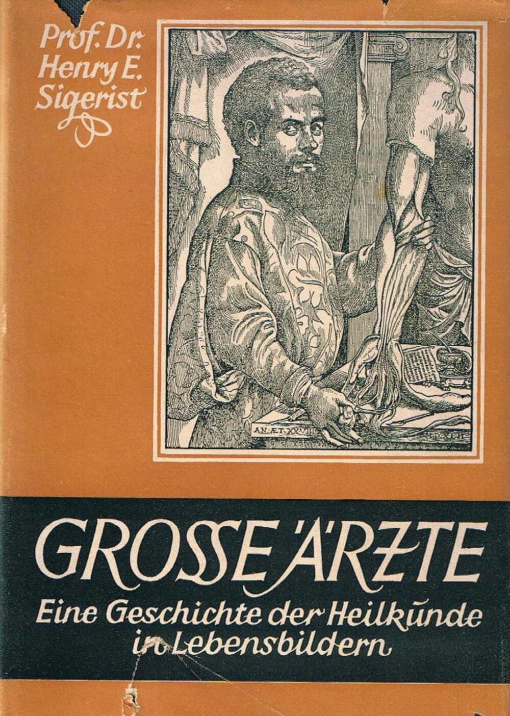 Cover für Grosse Ärzte
