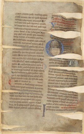 Cover: De natura rerum - Beda Venerabilis - 1101