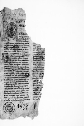 Cover: Naturalis historia, lib. 17-33 - Plinius Secundus, Gaius - 1201