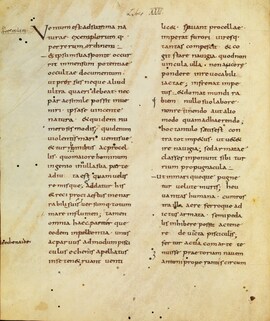 Cover: Naturalis historia, lib. 32-37 - Plinius Secundus, Gaius - 801