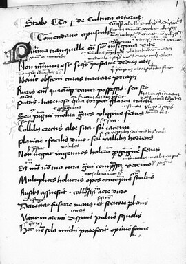 Cover: Liber de cultura hortorum - Walahfrid Strabo - 1401